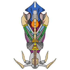Boss Sprite