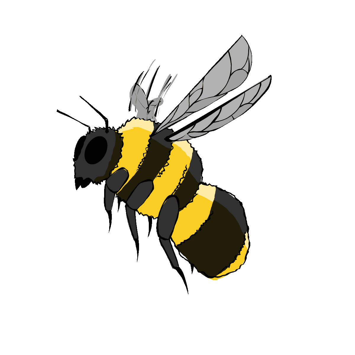 Lead Bee Animation