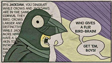 Jackdaw archival snippet; all